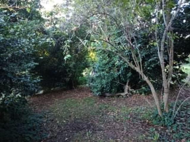 Property for sale in Camerons Creek, Victoria