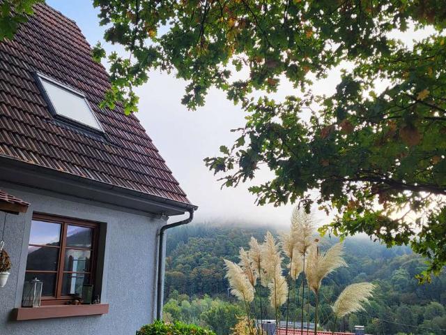 Haus kaufen in Schönau, Rhein-Neckar-Kreis