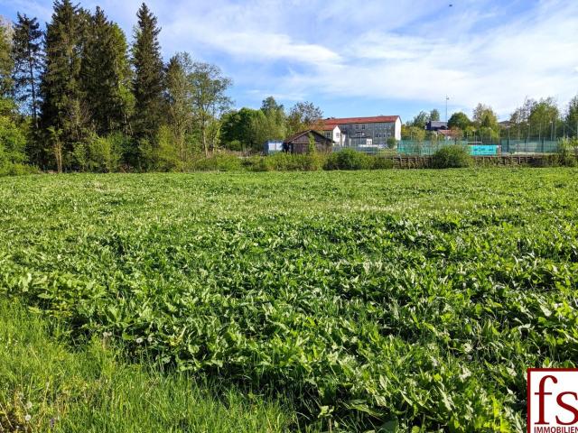 Grundstück kaufen in Michaelnbach, Oberösterreich