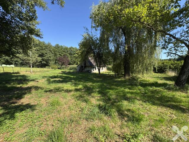 Immobilie kaufen in Hitzendorf, Steiermark