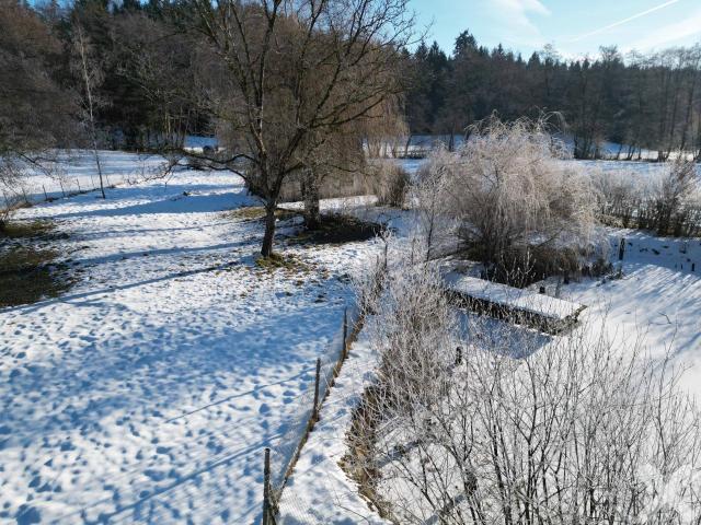 Immobilie kaufen in Hitzendorf, Steiermark