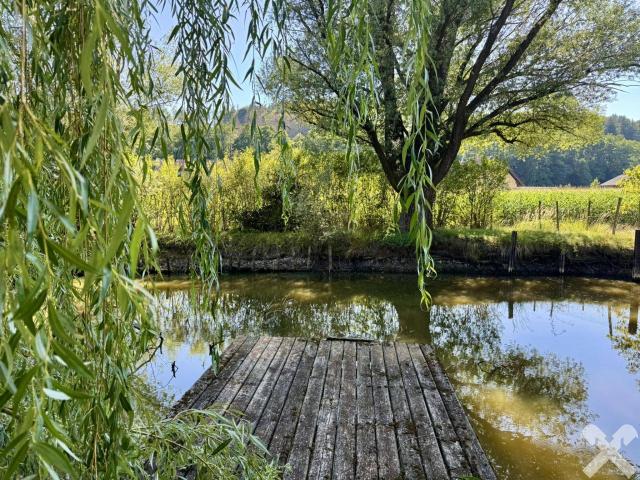 Immobilie kaufen in Hitzendorf, Steiermark