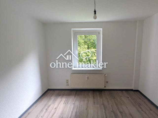 Apartment mieten in Neuhausen, Sachsen