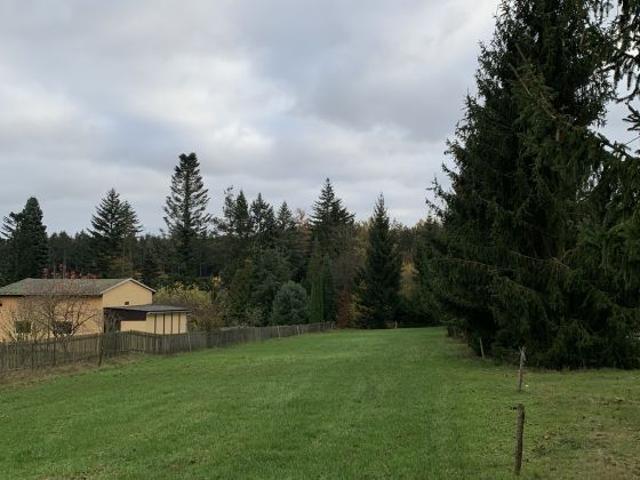 Erdgeschosswohnung kaufen in Langenbernsdorf, Sachsen