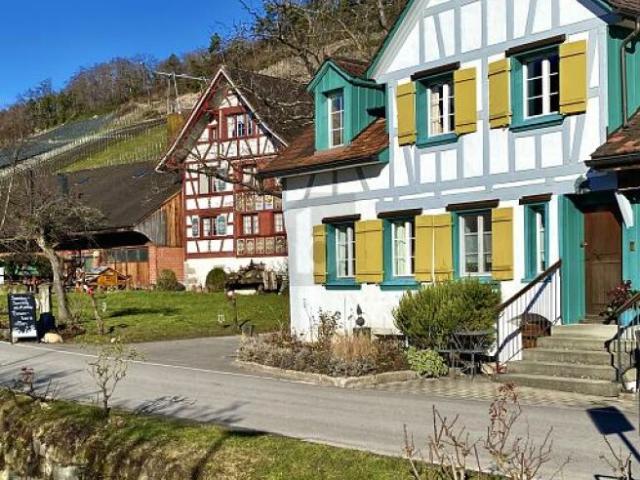 Wohnung mieten in Staad (SG), St. Gallen