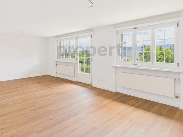 Apartment mieten in Rapperswil-Jona, St. Gallen