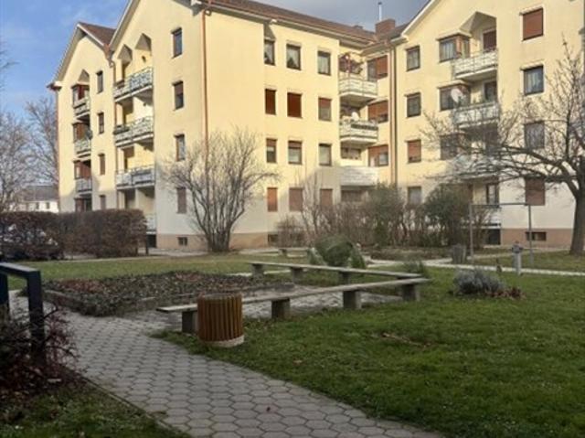 Erdgeschosswohnung kaufen in Pottendorf, Niederösterreich