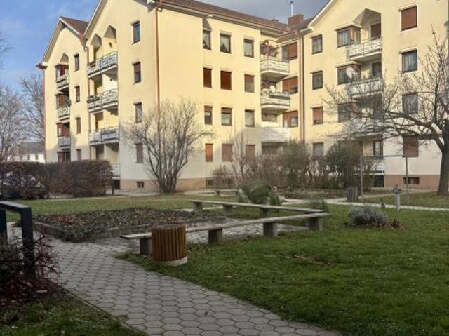 Erdgeschosswohnung kaufen in Pottendorf, Niederösterreich