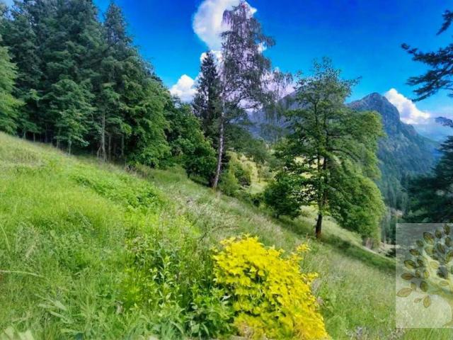 Immobilie kaufen in Treffen, Kärnten