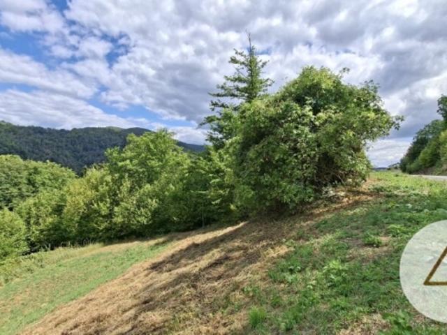 Grundstück kaufen in Weiten, Niederösterreich