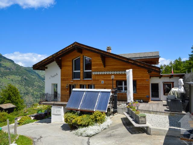 Wohnung kaufen in Grächen, Wallis