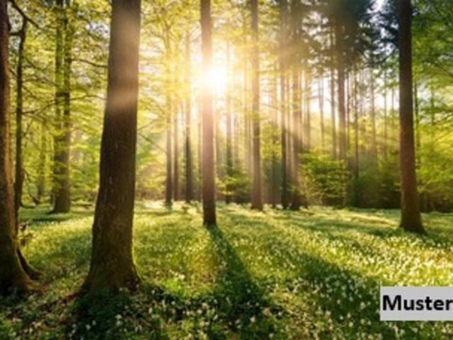 Grundstück kaufen in Steiermark