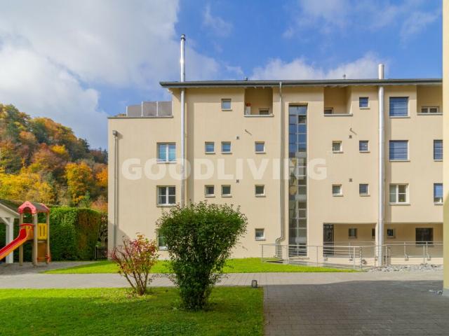 Wohnung kaufen in Berikon, Aargau