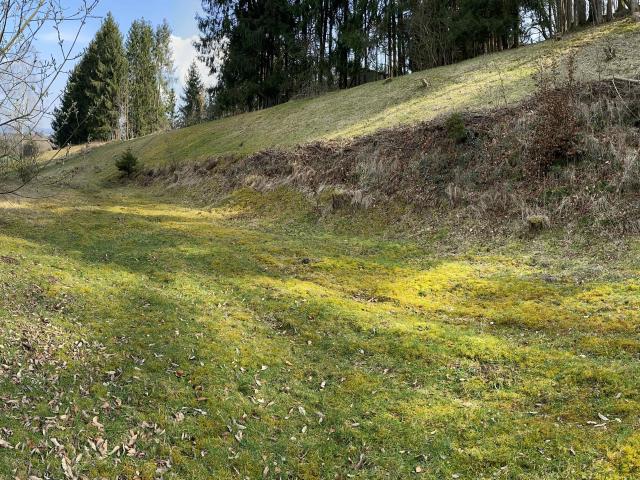 Grundstück kaufen in Sollern, Pfaffstätt