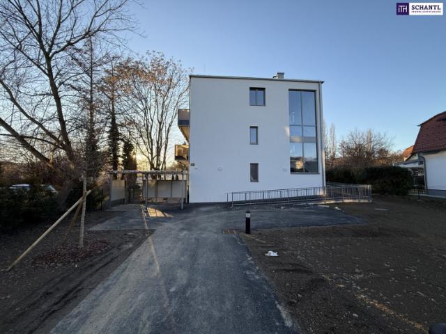 Wohnung kaufen in Zösenberg, Weinitzen