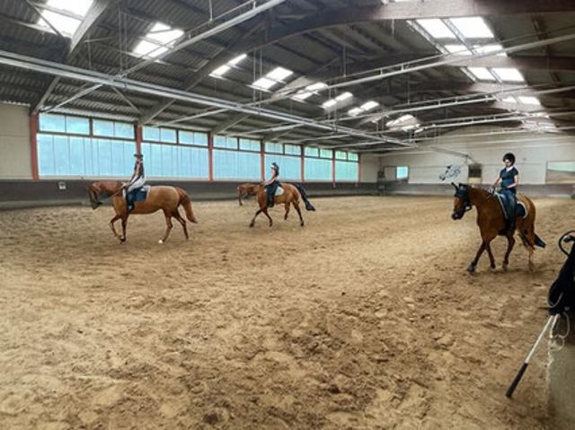 Immobilie kaufen in Höchst, Vorarlberg