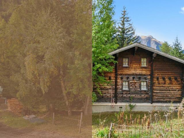 Haus kaufen in Binn, Wallis