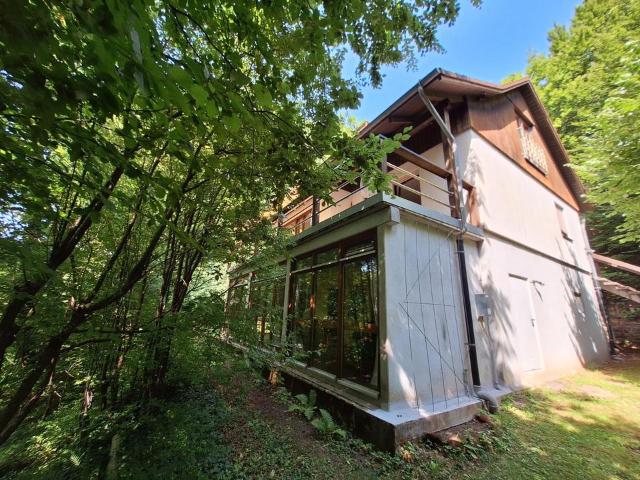 Haus kaufen in Bad Bergzabern, Rheinland-Pfalz