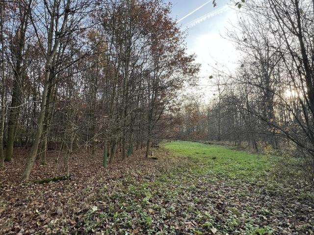 Erdgeschosswohnung kaufen in Buxheim, Bayern