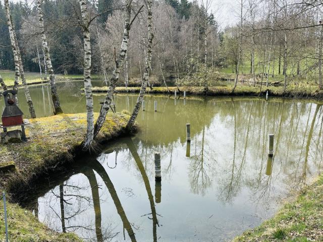 Grundstück kaufen in Freistadt, Oberösterreich