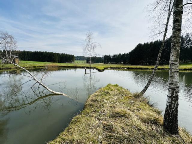 Grundstück kaufen in Freistadt, Oberösterreich