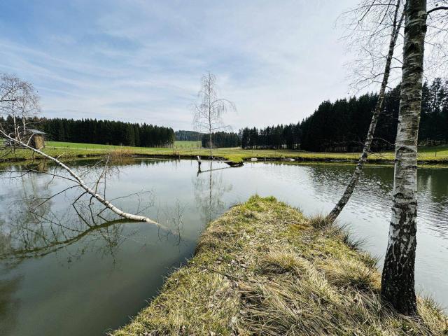 Immobilie kaufen in Freistadt, Oberösterreich