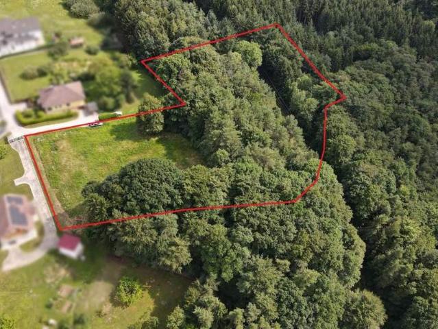Grundstück kaufen in Steiermark