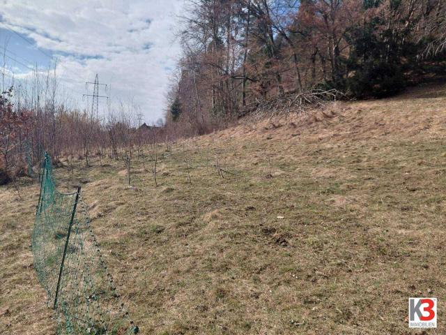 Immobilie kaufen in Göriach, Kärnten