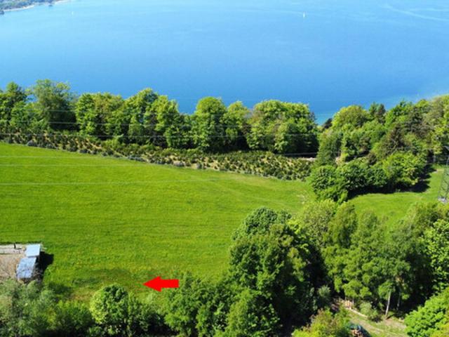 Grundstück kaufen in Lochau, Vorarlberg