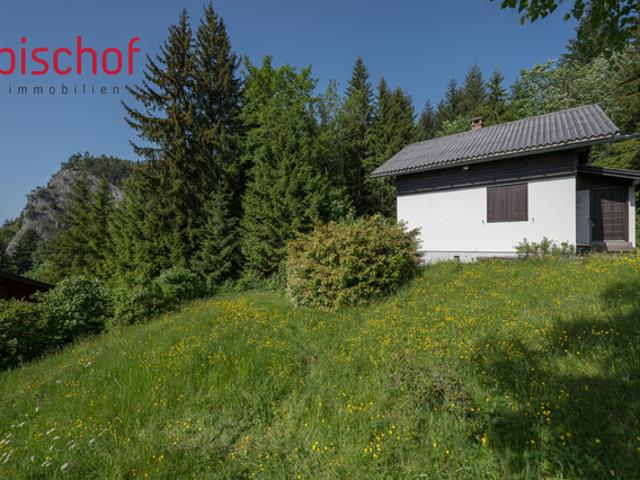 Grundstück kaufen in Hohenems, Vorarlberg
