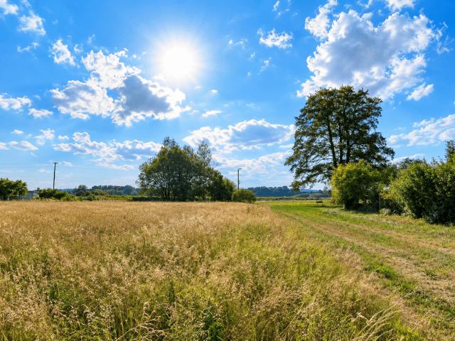 Immobilie kaufen in Schalchen, Bezirk Braunau