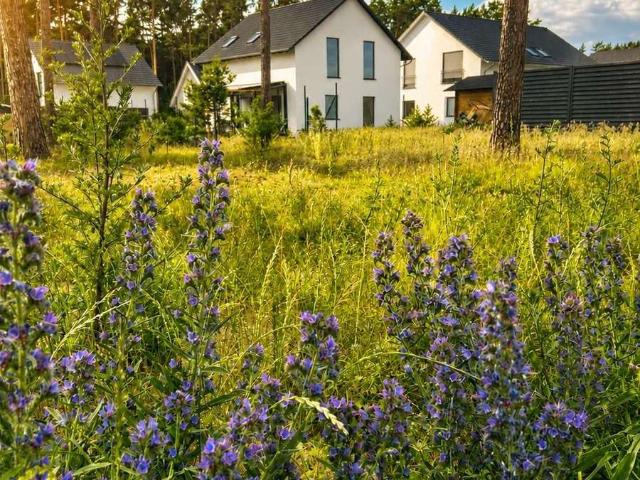 Erdgeschosswohnung kaufen in Borkwalde, Potsdam-Mittelmark