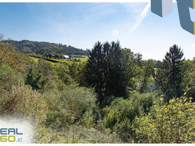 Immobilie kaufen in Gramastetten, Oberösterreich