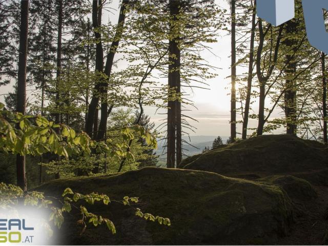 Grundstück kaufen in Gramastetten, Oberösterreich