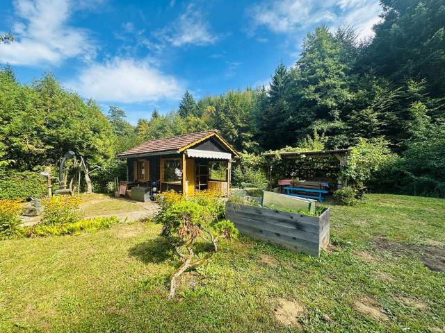 Haus kaufen in Weiz, Steiermark