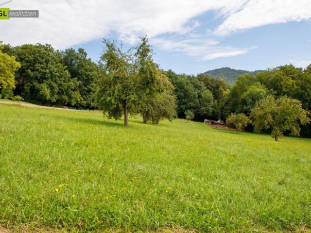 Bauernhaus kaufen in Gleichenberg Dorf, Bad Gleichenberg