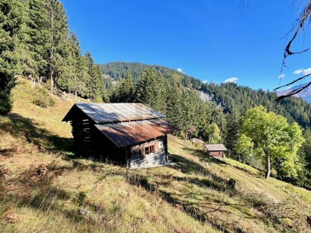 Immobilie kaufen in Arosa, Graubünden