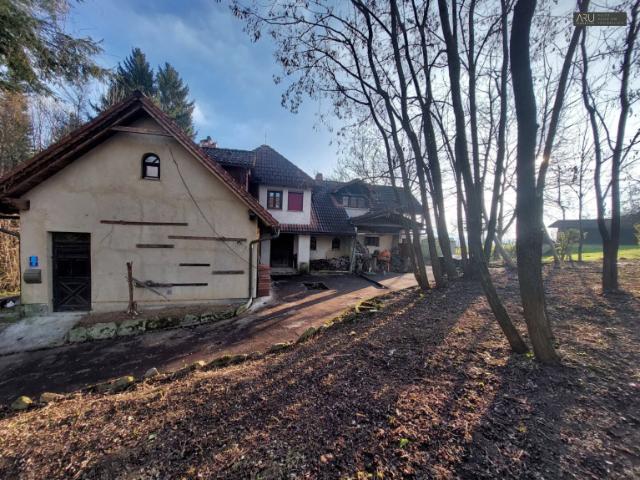 Haus kaufen in Burgauberg-Neudauberg