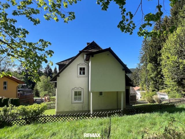 Einfamilienhaus kaufen in Mönichkirchen, Niederösterreich