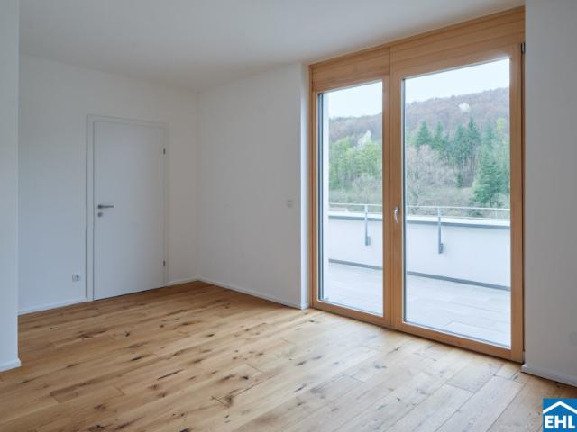 Wohnung kaufen in Doktorberg, Kaltenleutgeben