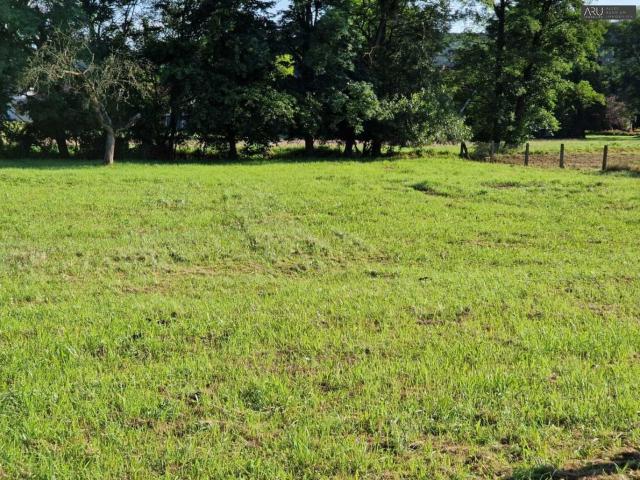 Haus kaufen in Ollersdorf im Burgenland, Burgenland