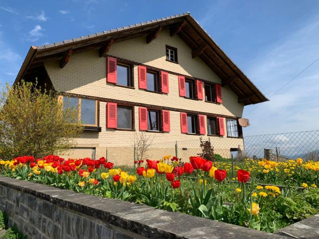 Haus kaufen in Thierachern, Bern