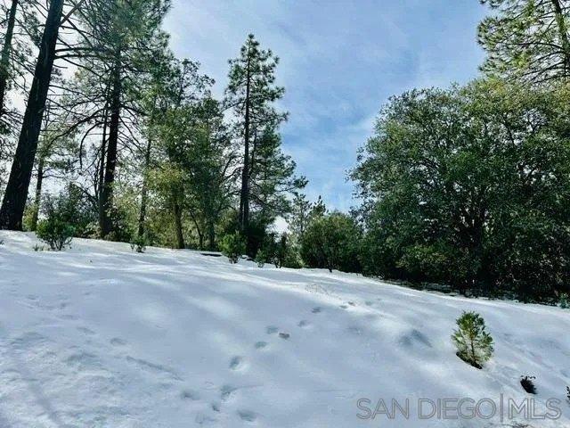 Land for sale in Idyllwild, California