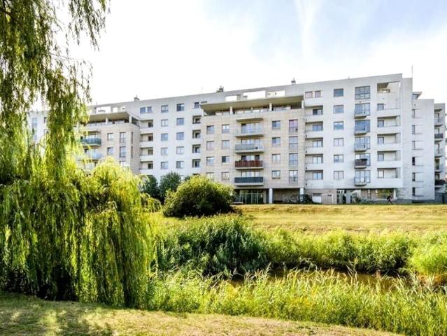 Mieszkanie do wynajęcia w Warszawa, Mazowieckie