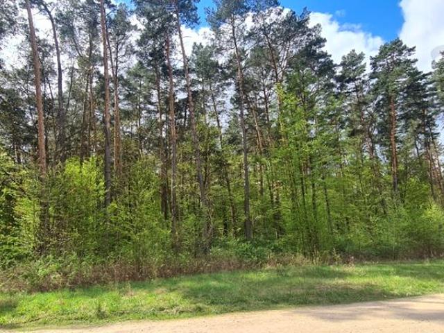 Grunt na sprzedaż w Sękocin-Las, Mazowieckie