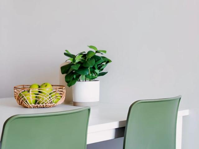 Room for rent in Sydney, New South Wales