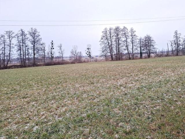 Grunt na sprzedaż w Prószków, Opolskie