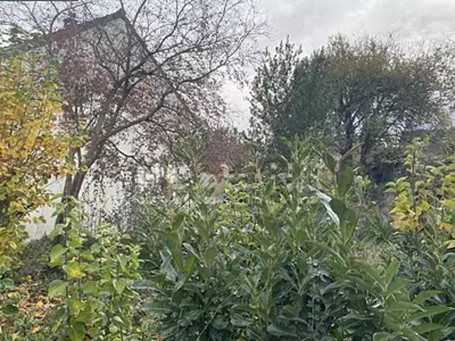 Terrain vente à Palaiseau, Igny