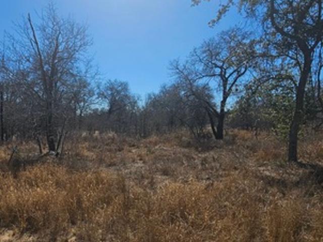 Land for sale in Medina, Texas