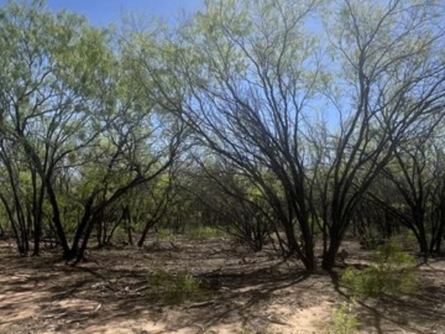 Farm for sale in Pleasanton, Texas